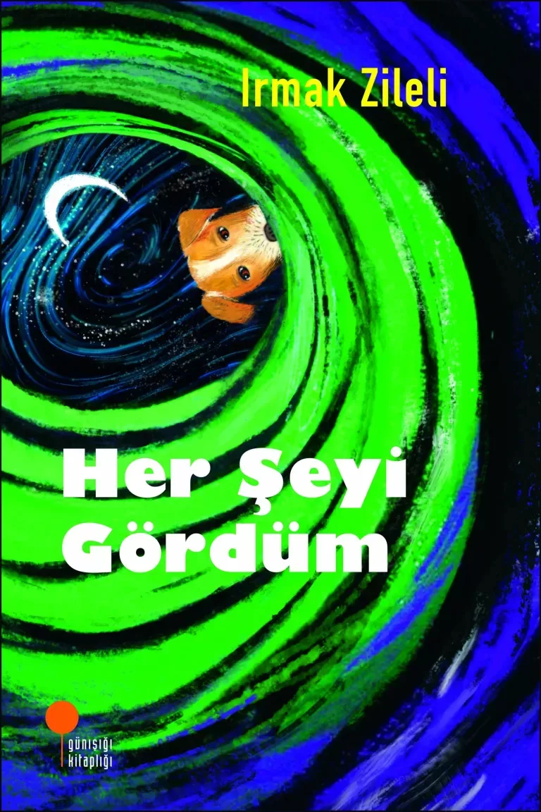 her şeyi gördüm