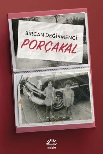 Diyarbakır'dan İstanbul'a göç eden bie ailenin hikayesi-Porçakal